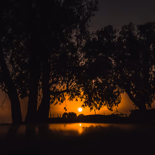 humatography Collection - old