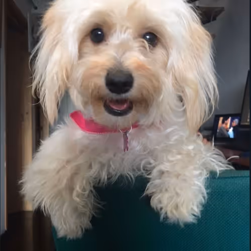 Dulce