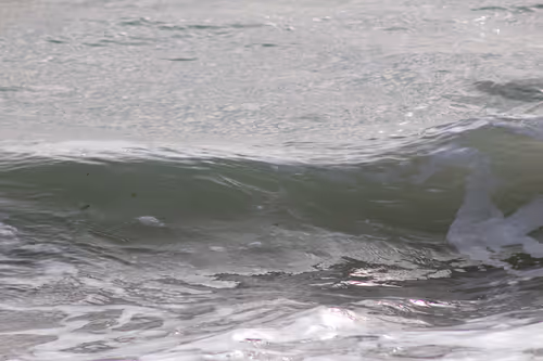 Item #110563264937173630415102547684714144673786021135482478862181301886713650479105 Media