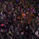 76705123962474923108917562952032264903393357220106225793514217255765542962152