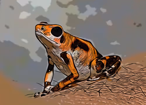 Item #29264666619168010317647881047170433350762654908464135976635272406495284690945 Media