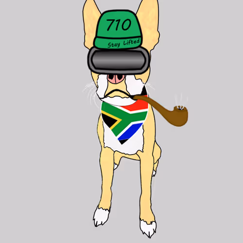 Pitbull Punks
