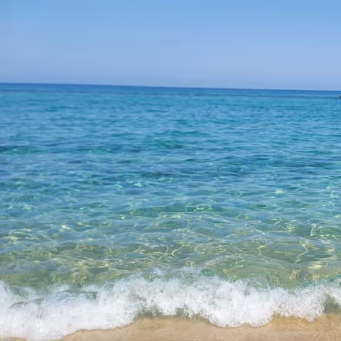 Item #93595123335427177115035649409809426481929941394150646237552609226487651893249 Media