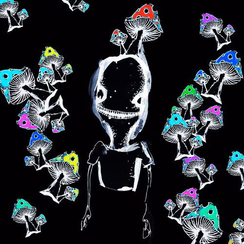 Insn