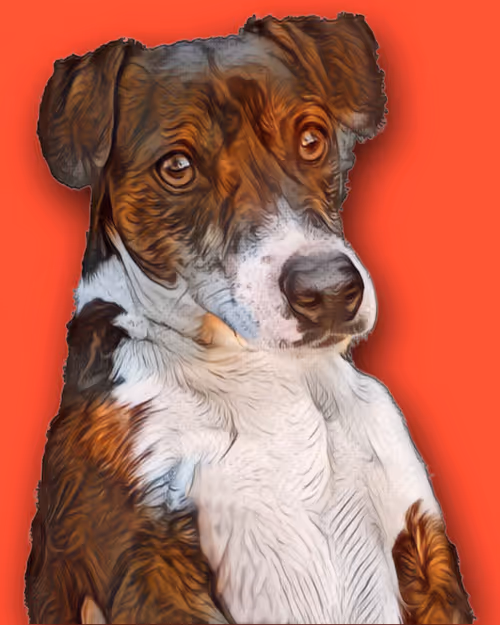 Item #78130481310736811720699625513350459712197011297885855401872198813035870027777 Media