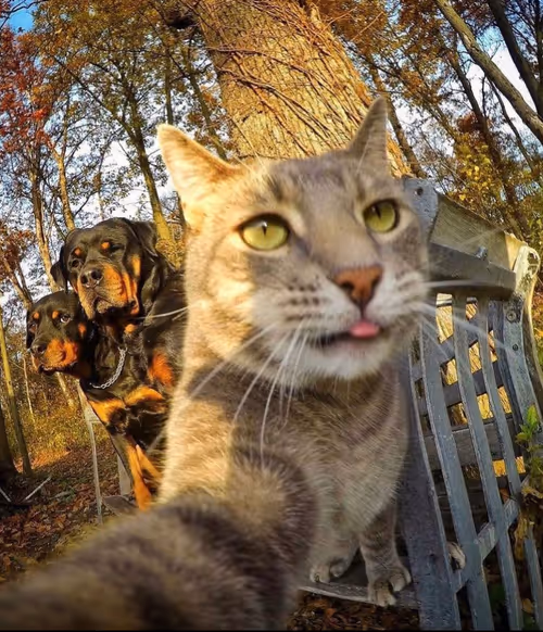 Item #12432533090897662026869168976523784185628976291471842491353891650032854106113 Media