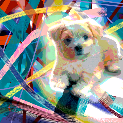 Digital Duke Doge