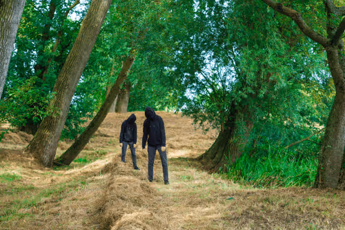 Nothing is Supposed to Make Sense