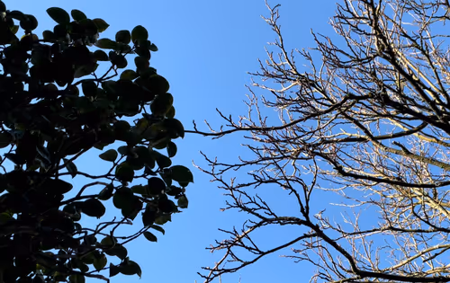 Item #35817521930216393707443644841925522081278093337032814721320130398864613048322 Media