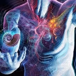 CryptoHuman2021