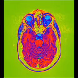 64162533542198579898252916190583583845604629893829087458582976172403017646081