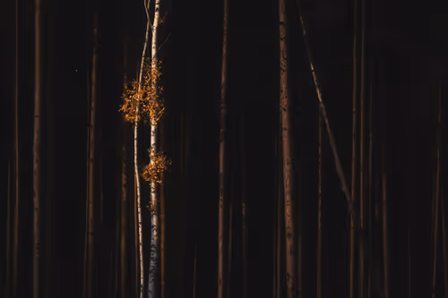 Item #4957194782878425524435841339739602909464041924786151306277751043770485309441 Media