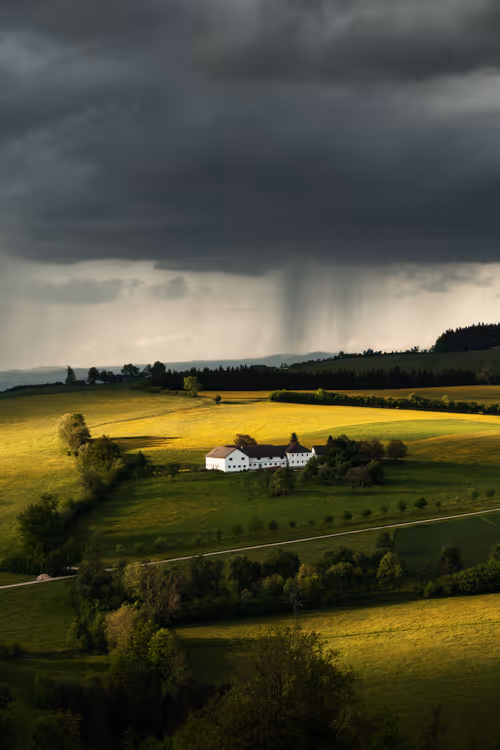 Item #54782985974607347148720532699414835129345073352407786523574901508832363544577 Media