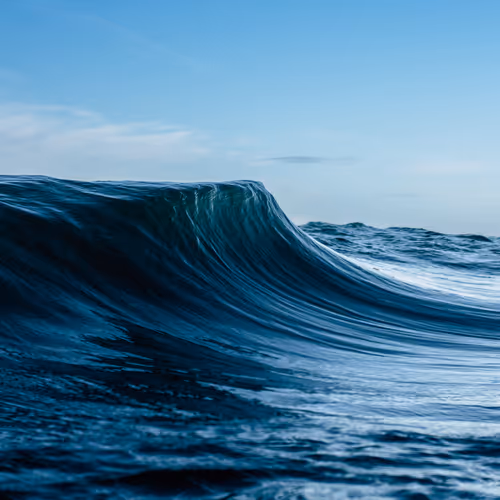 Liquidscapes