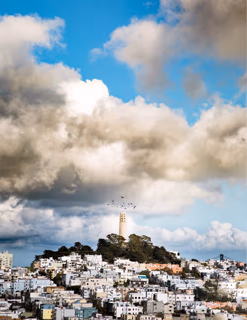 Item #22380822880750469679607150943500114050327895572865979621959590967344910827540 Media