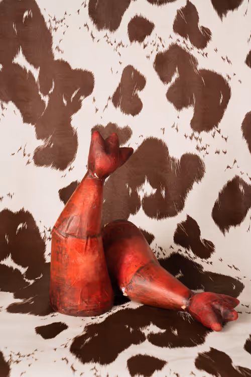 Item #57804796688855264026974714255100123256465046152350675403876709646773541404682 Media