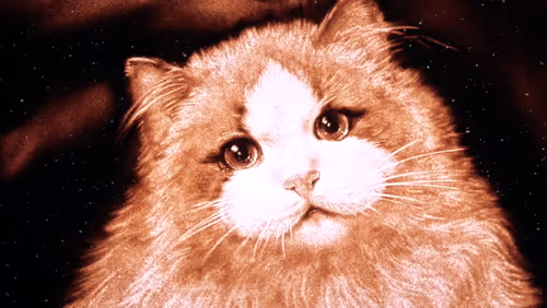 Item #64547877753568412469425259004769380681143227933510953498710243249178902790145 Media