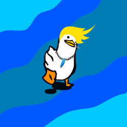Surf Duck