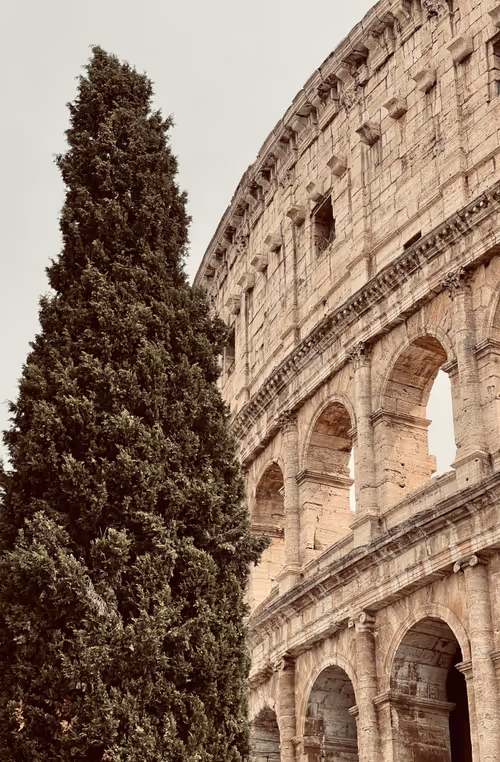 Item #106962716921335990762713992472161684452961633480742312471954214527152324345857 Media