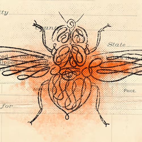 12520096913277121545232673772747947087596815365110293900319642811638510256129