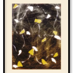 42265653136497665691086452867523931051807738509899349917979016334155569954817