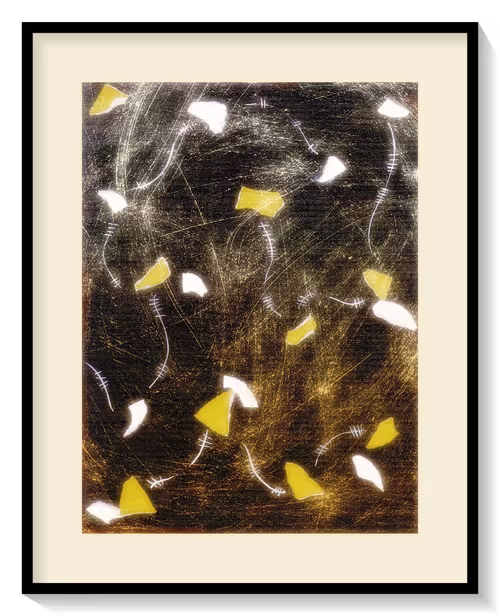 Item #42265653136497665691086452867523931051807738509899349917979016334155569954817 Media