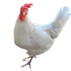 36383620159570865932656878930770165762469096320658300272737019996446780293121