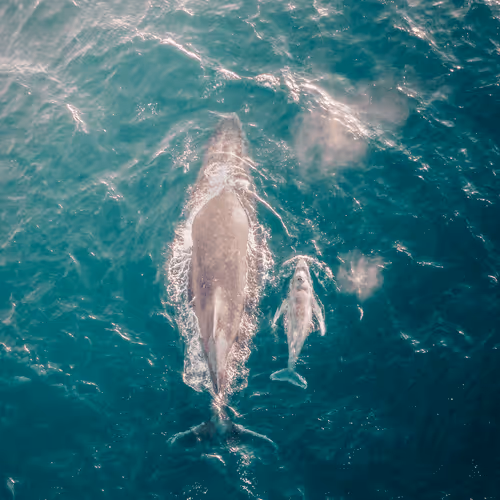 The Coast From Above; A Drone Collection