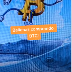 BitcoinWhalesBuying!