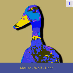 73474911565276893363269127585336255498112534630235322163062145016090683506689