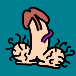 The Original Cock