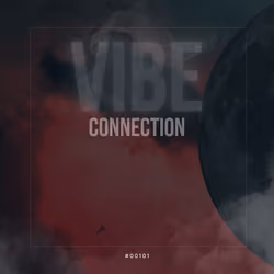 Vibe Connection 101