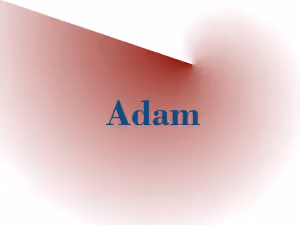 Item #51805471781128804203498977940563415653899876289698837725163972085800989884417 Media