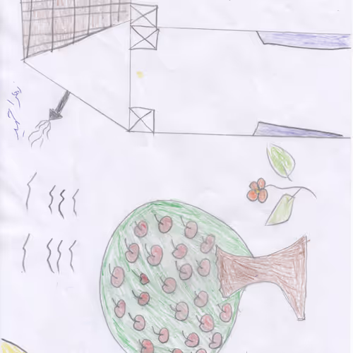 Untitled Collection #3608791749