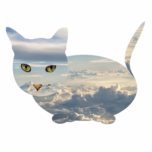 Item #7075100801842414929541159204983769780243264764604993181312715156575173476353 Media