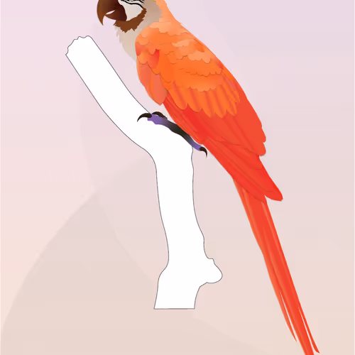 Vector Birds