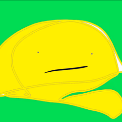 Oh, I'm a cap and I'm torn