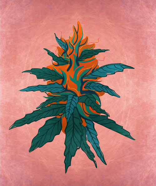 Item #88173920956366532206384104525204378846175092179682069740847406046347492589569 Media