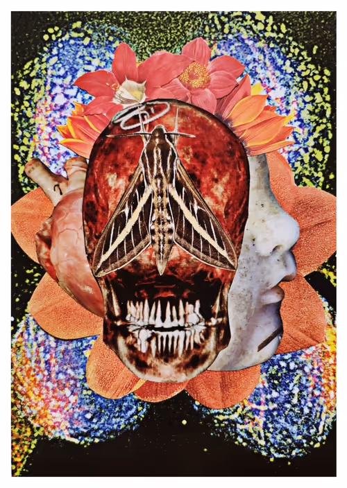 Item #109156396159921819544977758369102320145302531994816138124186017699636493418516 Media