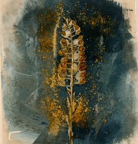 Cyanotype 1