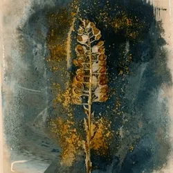 Wildflower 1 #1