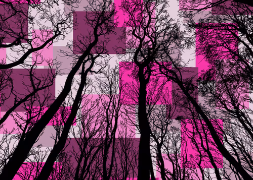 Item #98452652739139728385833177139880784176422420203299536309471942772313192136705 Media