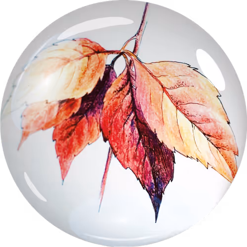 Item #49357860121482718448107200209866634509781940858892046971386769696125817454593 Media