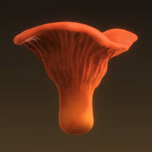 Item #95653877050150474555742155054455970472164202465768371638498213989877765111809 Media