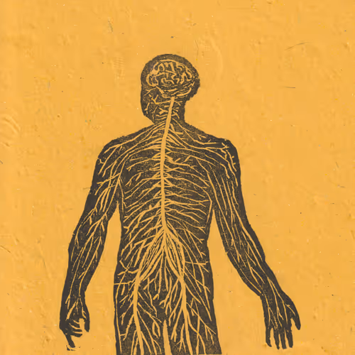 Item #61684408516102652291072427161593149596735809739114803432175219012858525253633 Media