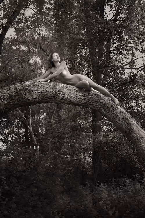 Item #50747893746858818908367272337073903739912207369127684864998521123932223832065 Media