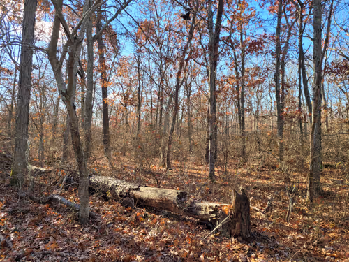 Item #34085441569699423005310991372941828806155687762378495952169943203273383084033 Media