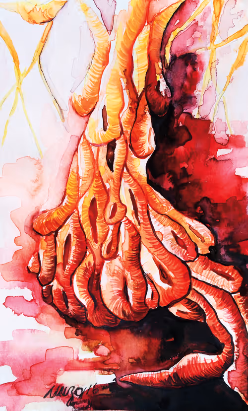 Item #73344577178846438114199699279877756149678730933278830792301650586425748357121 Media