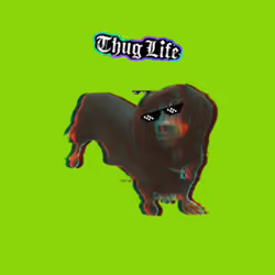 scoob69