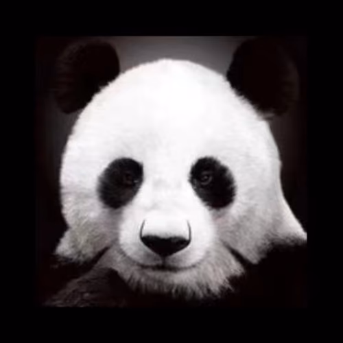 Crazy Panda